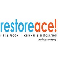 Restoreace Restoration image 1